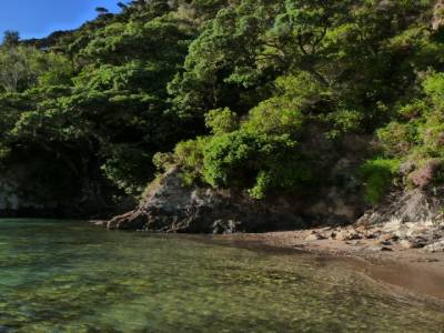 Bay of Island