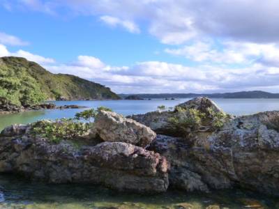 Bay of Island