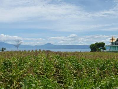 Lac toba