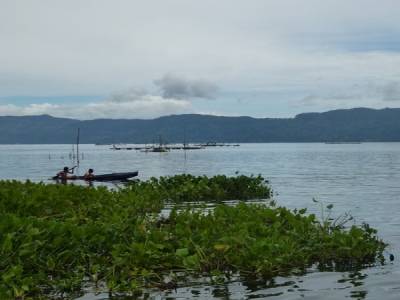 Lac toba