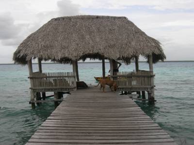 Notre palapa privee a notre 2e camping...