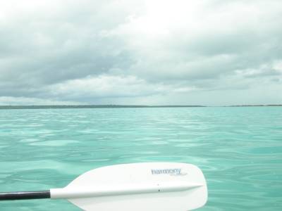 Excursion en kayak