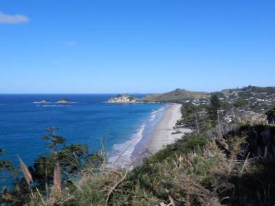 Hahei beach
