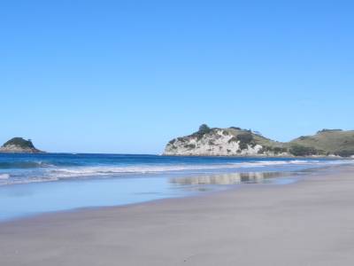 Hahei beach
