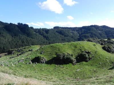 Waitomo caves