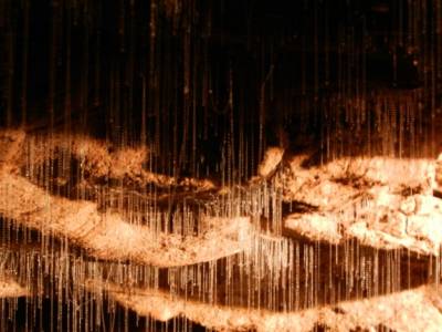 Waitomo caves