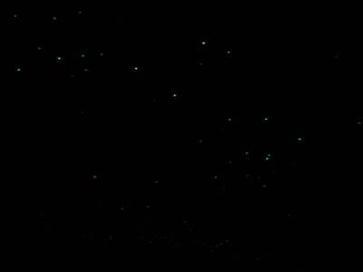 Glow warms at Waitomo caves