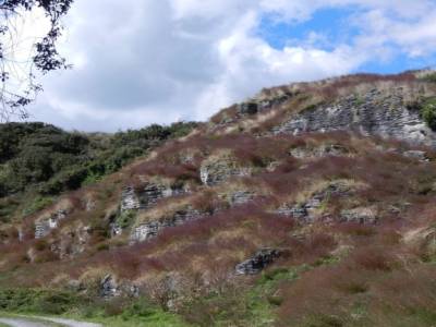 Waitomo caves