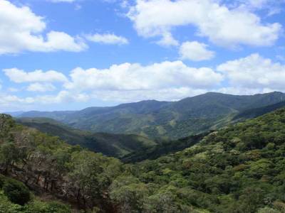 Rondonnée dans la vallée de Hienghène