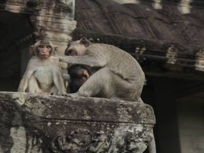 Angkor Wat