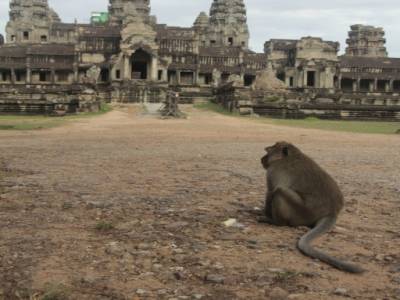 Angkor Wat