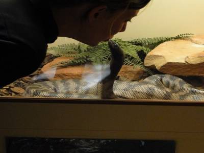 Bisous serpent au Reptile Center