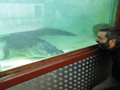 Tonton et le crocodile