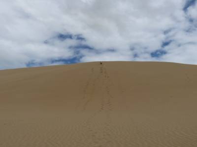 Dunes de Te Paki - Dunas de Te Paki