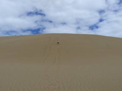 Dunes de Te Paki - Dunas de Te Paki