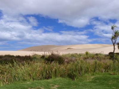 Dunes de Te Paki - Dunas de Te Paki