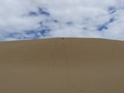Dunes de Te Paki - Dunas de Te Paki