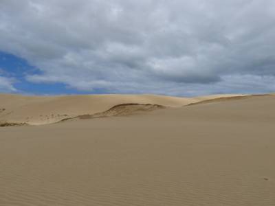 Dunes de Te Paki - Dunas de Te Paki