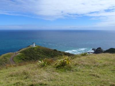 Cape Reinga