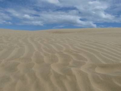 Dunes de Te Paki - Dunas de Te Paki
