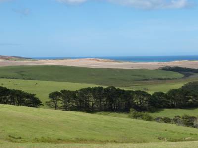 Dunes de Te Paki - Dunas de Te Paki