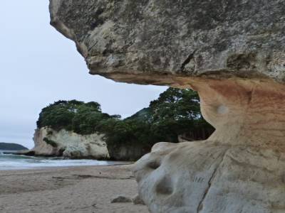 Cathedral Cove