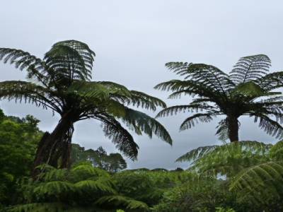 Cathedral Cove