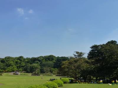Jardin botanique de Bogor