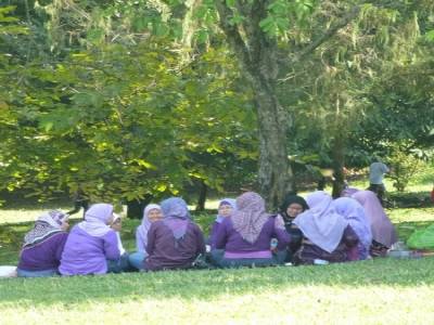Jardin botanique de Bogor