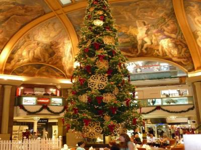 Noel sous les tropiques
