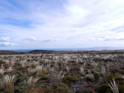 Tongario NP
