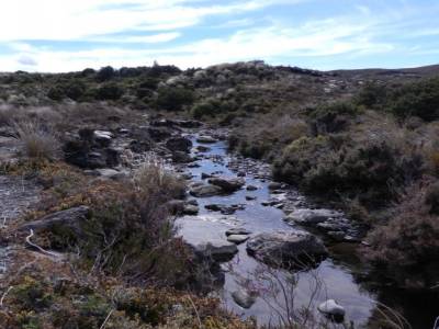 Tongario NP