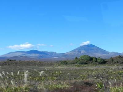 Tongario NP