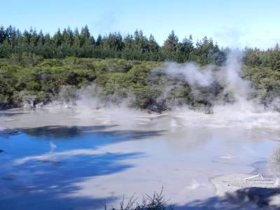 Mud pool at Wai-o-tapu