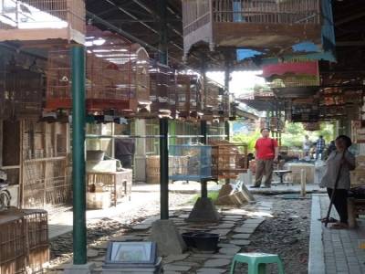 Pasar Ngasem - Marché aux oiseaux