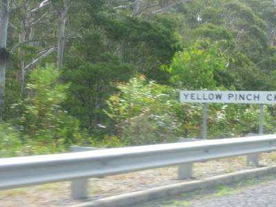Yellow Pinch...Ha Ha Ha!