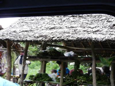 Arrivée à Tanna, l'ile au volcan actif