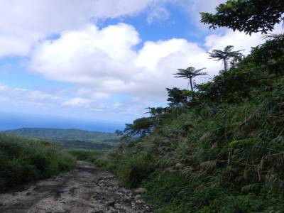 Les routes à Tanna
