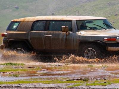 Mud & water ...and they're happy