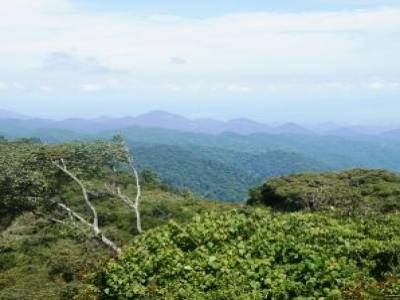 Paysage des Cameron highlands
