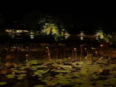 Un cadre de Bar a Ubud