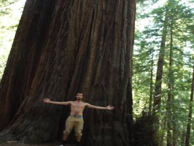 Santa Rosa - Armstrong Redwood Park