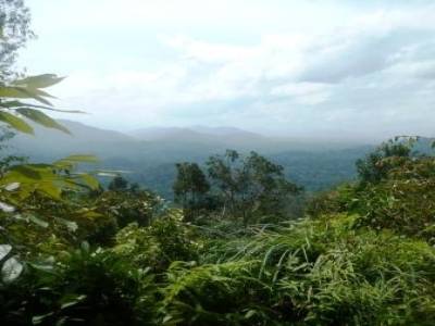 Le Taman Négara
