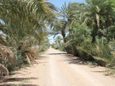 Une oasis déserte,