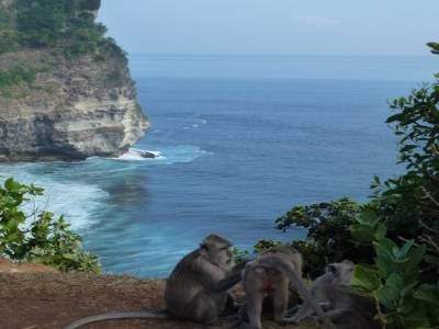 Temple d'Uluwatu
