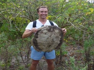 Les rangers mangent-ils des tortues?