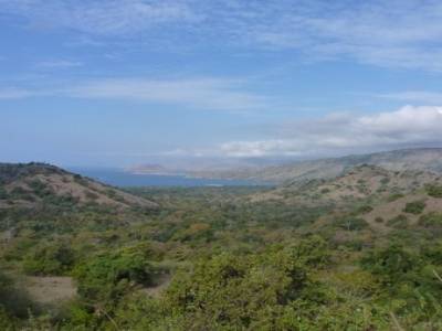 Trek sur l'Il de Komodo