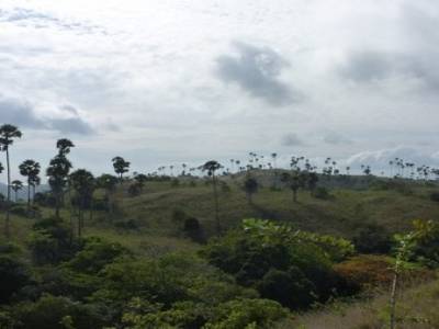 Trek sur l'Il de Komodo