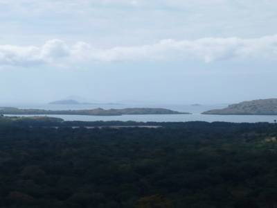 Trek sur l'Il de Komodo