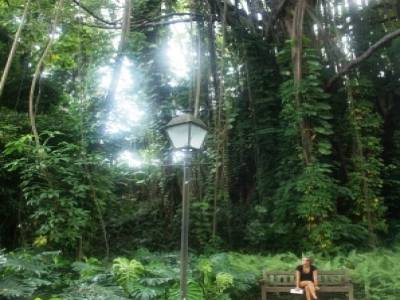 Pauline dans un parc à Singapour, ville très verte